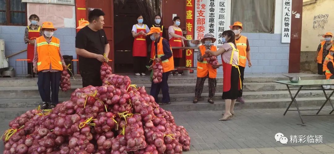 蔬菜滞销小伙带千万去收购,20万斤包菜滞销男子买1万斤