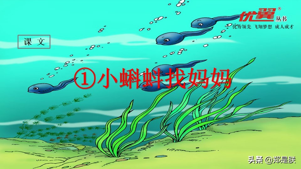二年级小蝌蚪找妈妈诵读,二年级语文第1课小蝌蚪找妈妈