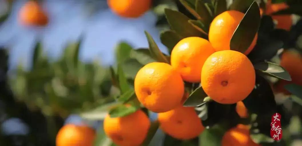 台州的风景哪里好,台州是个美丽的地方