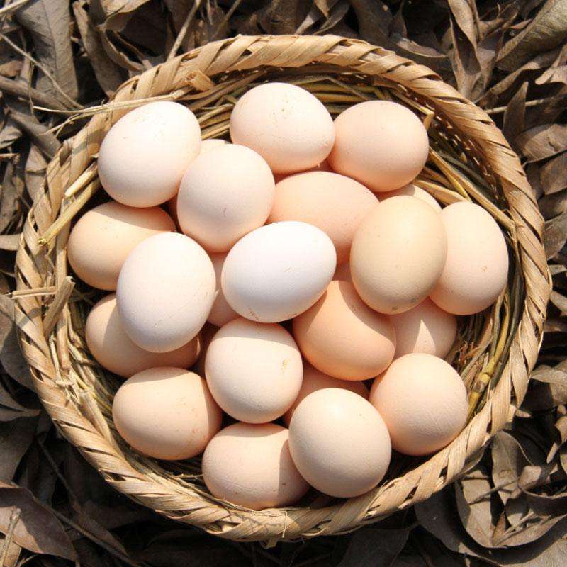 增强体质提高免疫力的食物有哪些,体质差吃什么食物增强免疫力