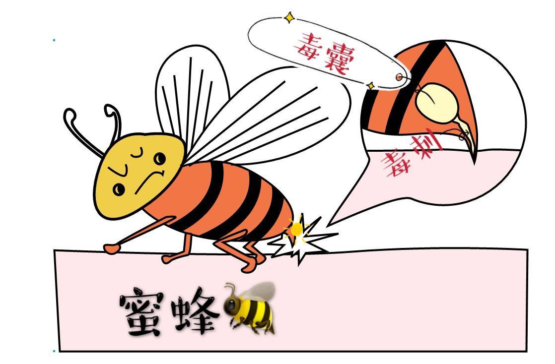 儿童简单外伤的处理方法,如何讲解儿童外伤处理小常识