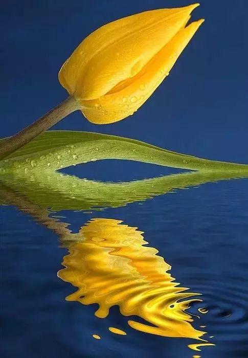 精品美文欣赏视频,精品欣赏视频大全