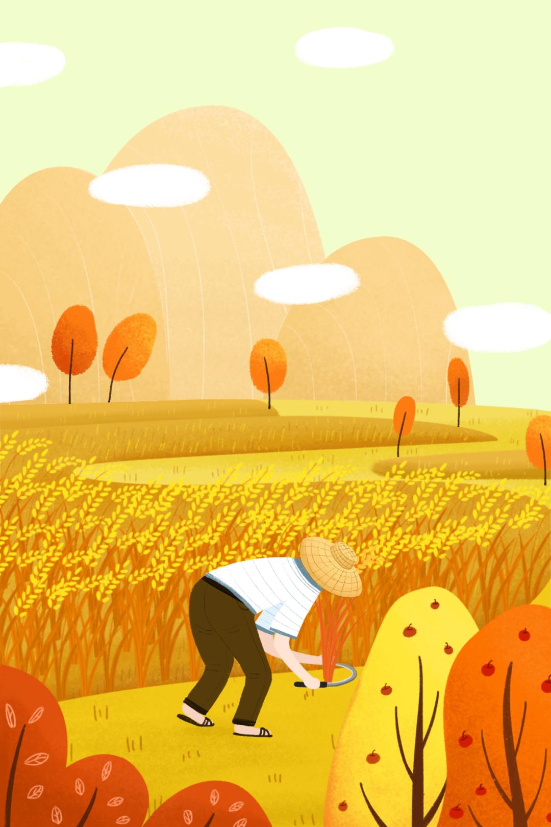 光盘行动珍惜粮食的题材,光盘行动珍惜粮食图片