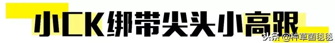 圣诞美颜好强大,圣诞超级套装大全