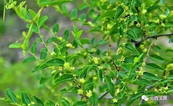 山旅忻州,第十三站,保德县——取义“民保于城,城保于德”