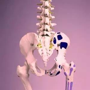 形意拳出拳的秘密尾闾撞脊,罕见形意拳内功心法