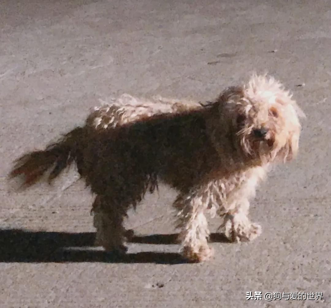 尔冬升怼哭郭敬明的时候 (尔冬升怼哭郭敬明是炒作吗)