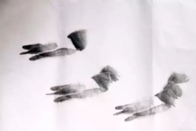 怎样画虾教学视频,铅笔画虾的步骤和方法