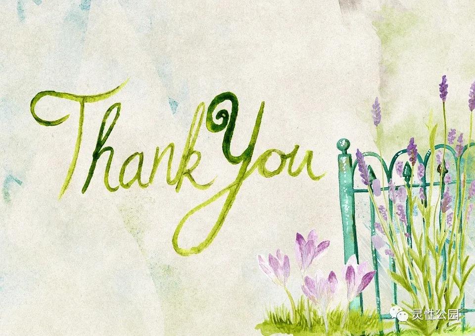 你值得过更好的生活第十二章,你值得过更好的生活全书重点