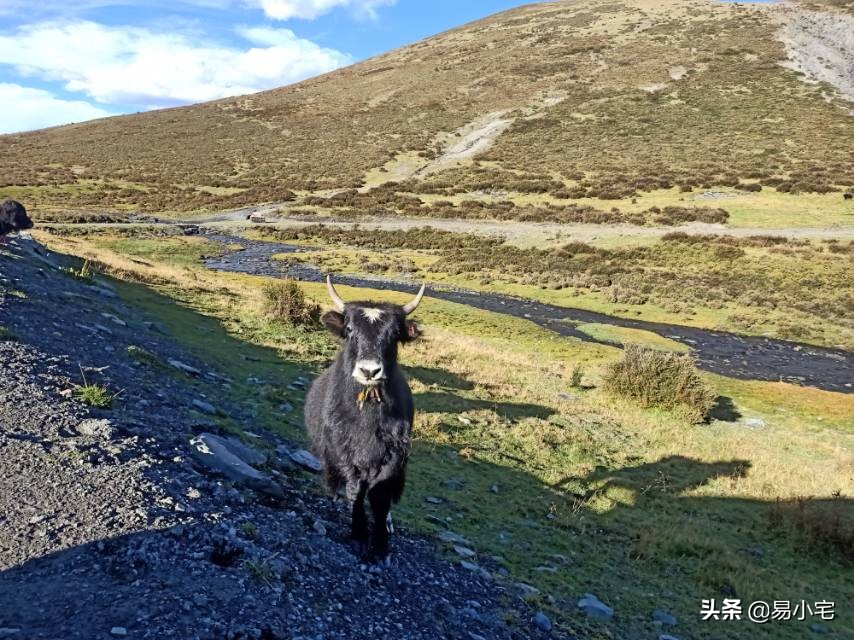 阿土｜荒野生活/从城市白领到山中野人