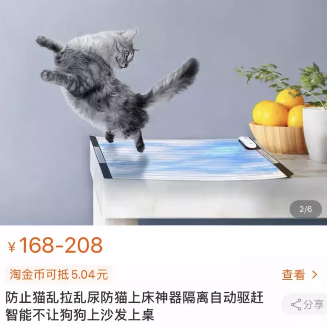 幼犬不听话可以电它吗,宠物不听话控制不住