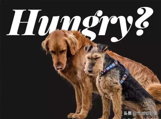 ps抠图换背景10种方法,ps颜色范围抠图方法