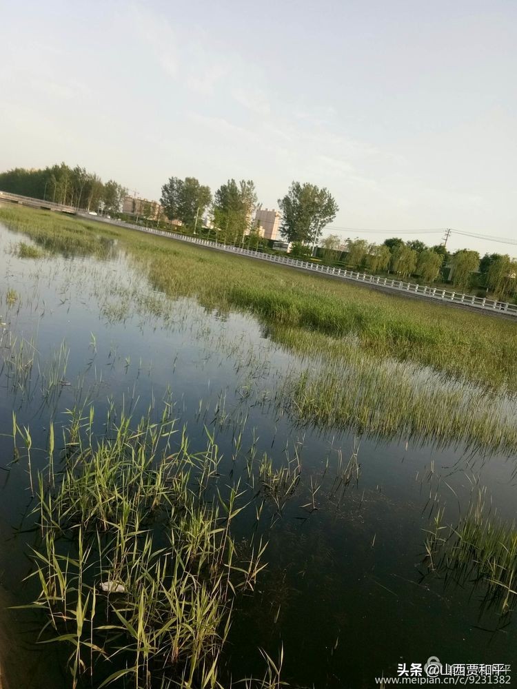 清风徐来水波不兴边款,清风徐来水波不兴图