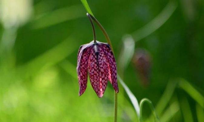 北欧斯德哥尔摩美景,北欧斯德哥尔摩城市视频