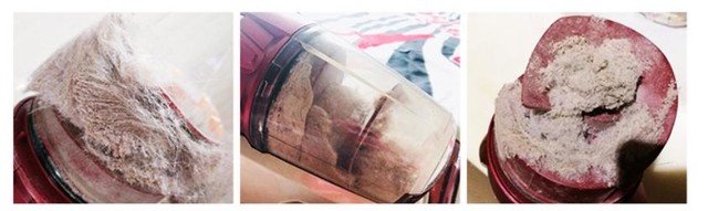 春节倒计时只会一天比一天忙 (春节倒计时过好每一天)