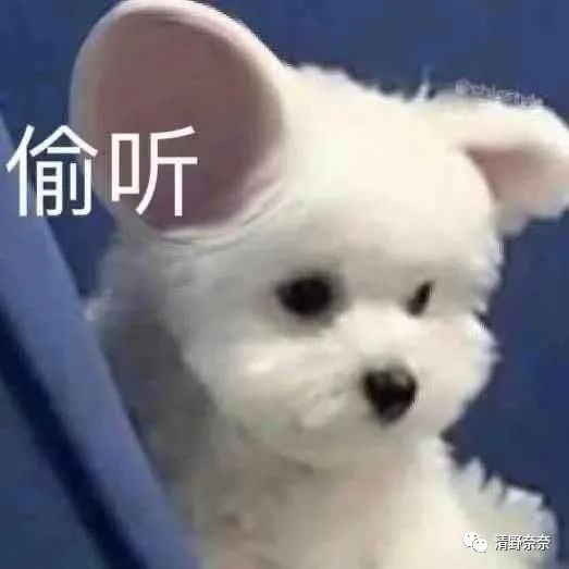 推荐性价比高又好用的精华,适合25-30岁油皮用什么抗老精华