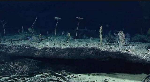 海洋深处恐怖的压力,海洋深处压强