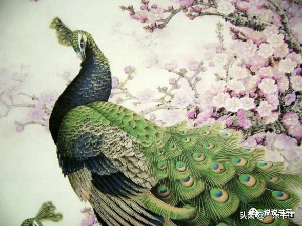 工笔国画孔雀画高清大图,工笔孔雀的画法步骤
