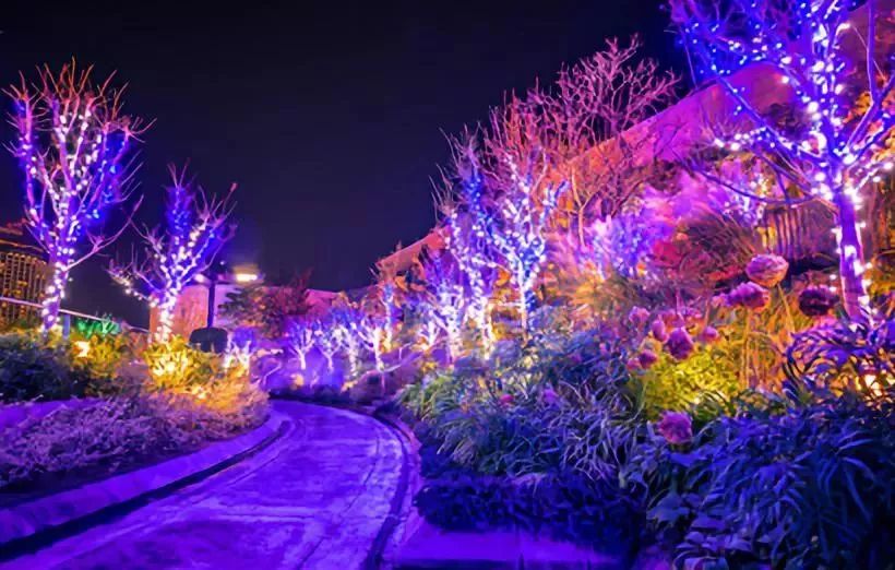 日本神户夜晚灯光秀,日本东京夜景灯光秀