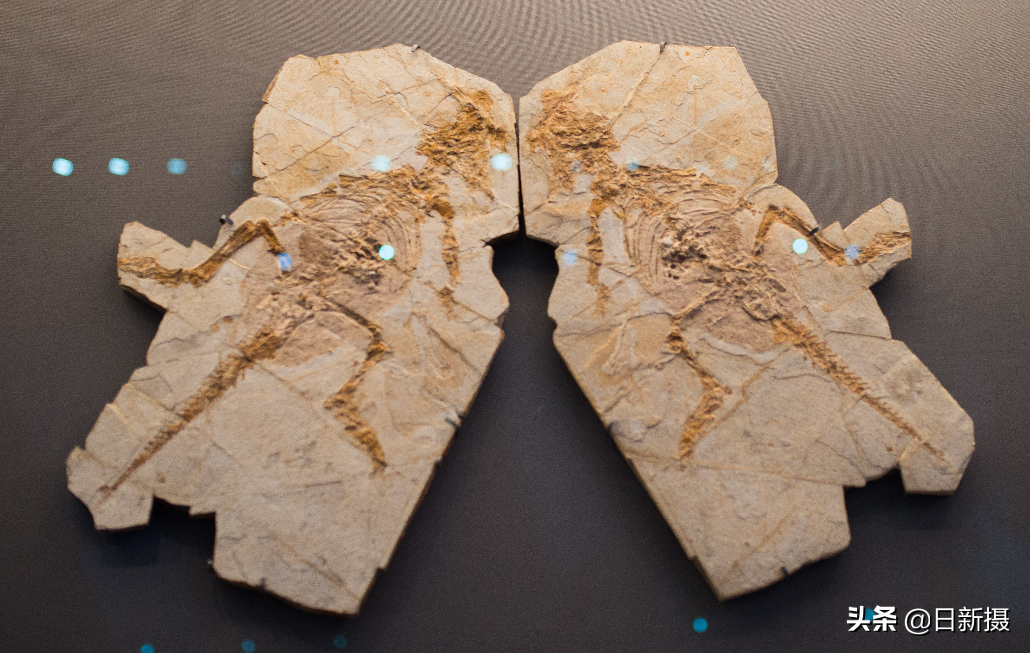 国家海洋博物馆之行,国家海洋博物馆蓝色海洋体验馆