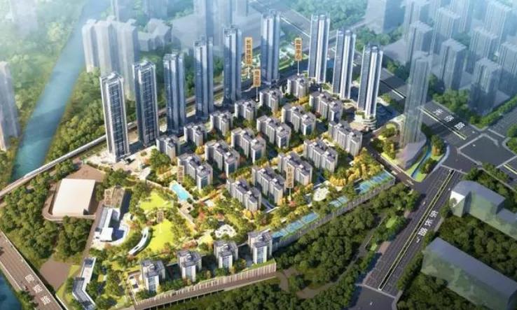 年底深圳“四十余盘”争霸，谁最香？