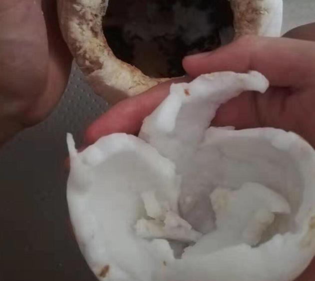 最难吃的水果甘蔗,甘蔗和菠萝一起吃有什么坏处