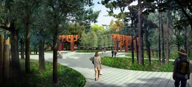 通州最新森林公园,通州南部公园