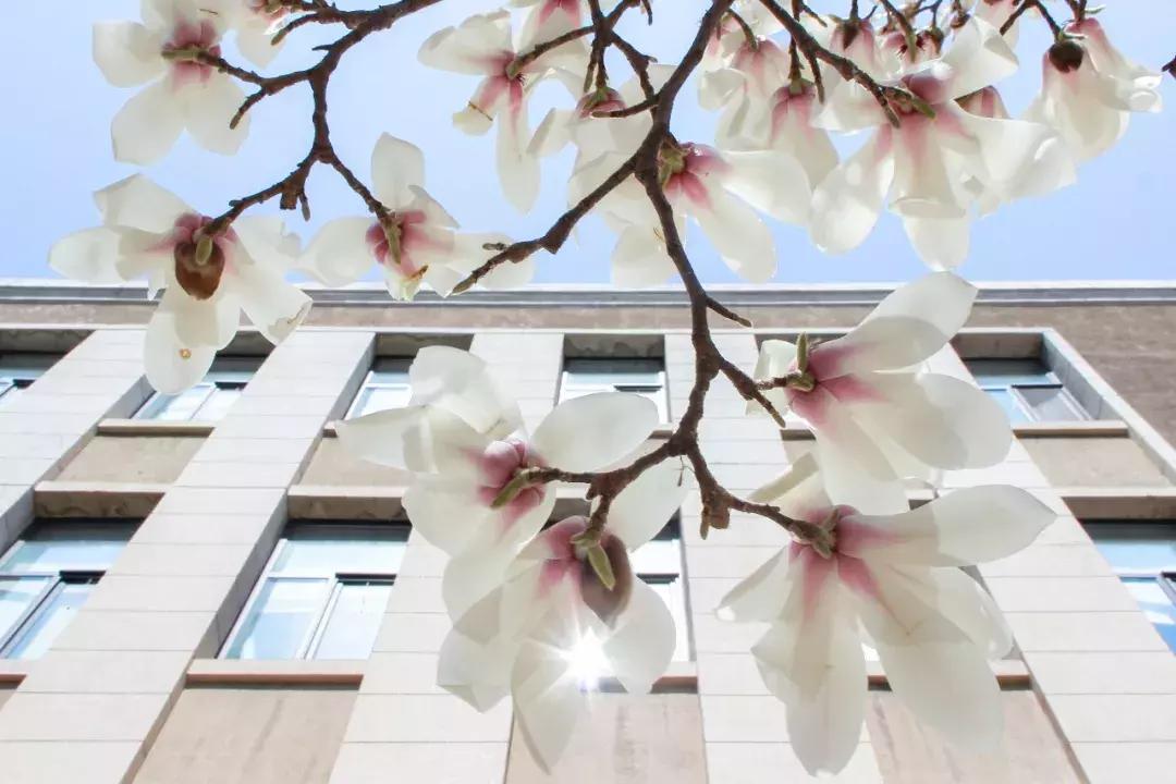 2023年大连理工大学考研报名时间,2024大连理工研究生招生简章