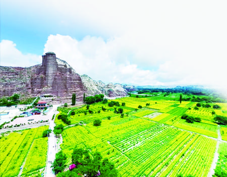 高质量打赢脱贫攻坚战,坚决打好精准脱贫攻坚这场硬仗