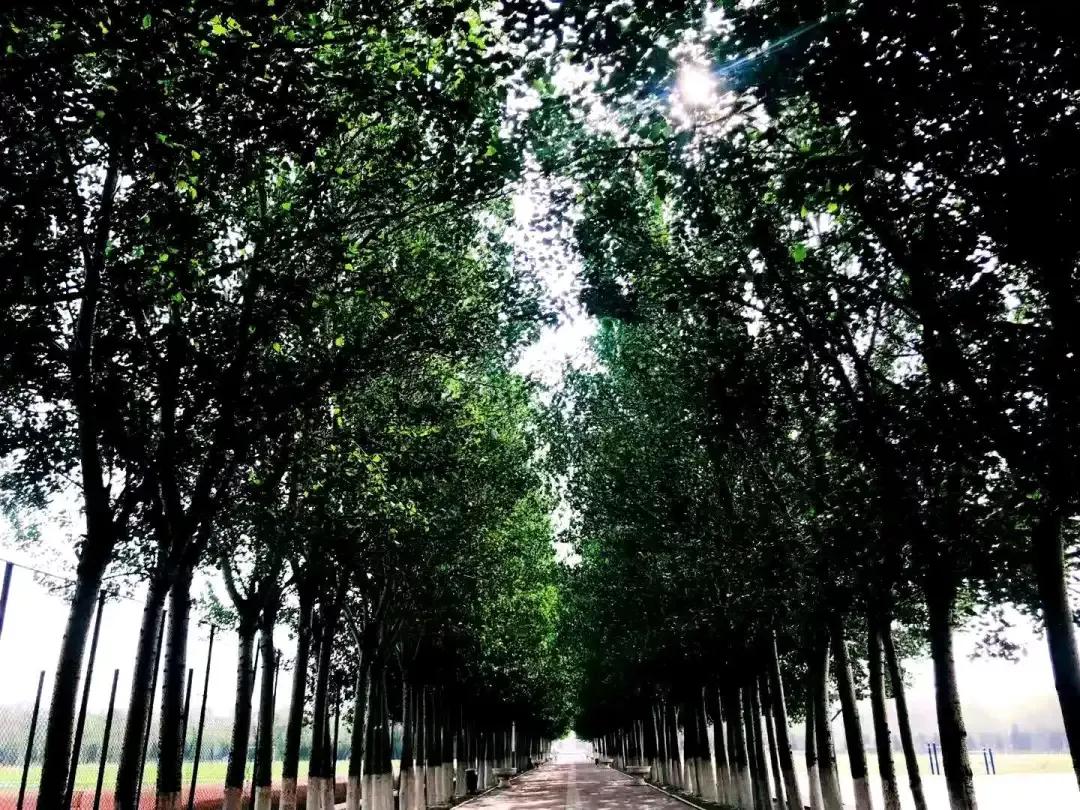 辽宁省民办大学,辽宁理工学院是民办吗