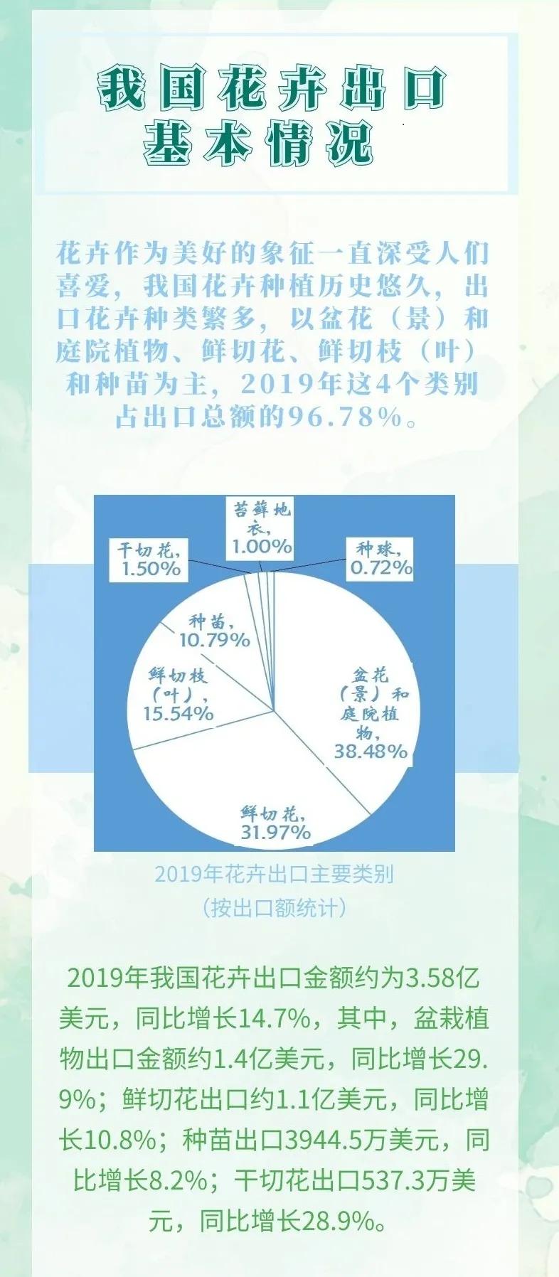 一文读懂|花卉出口指南(超全)