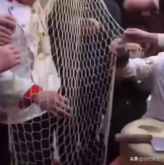 米其林大厨深山做菜,米其林大厨刀工完整版