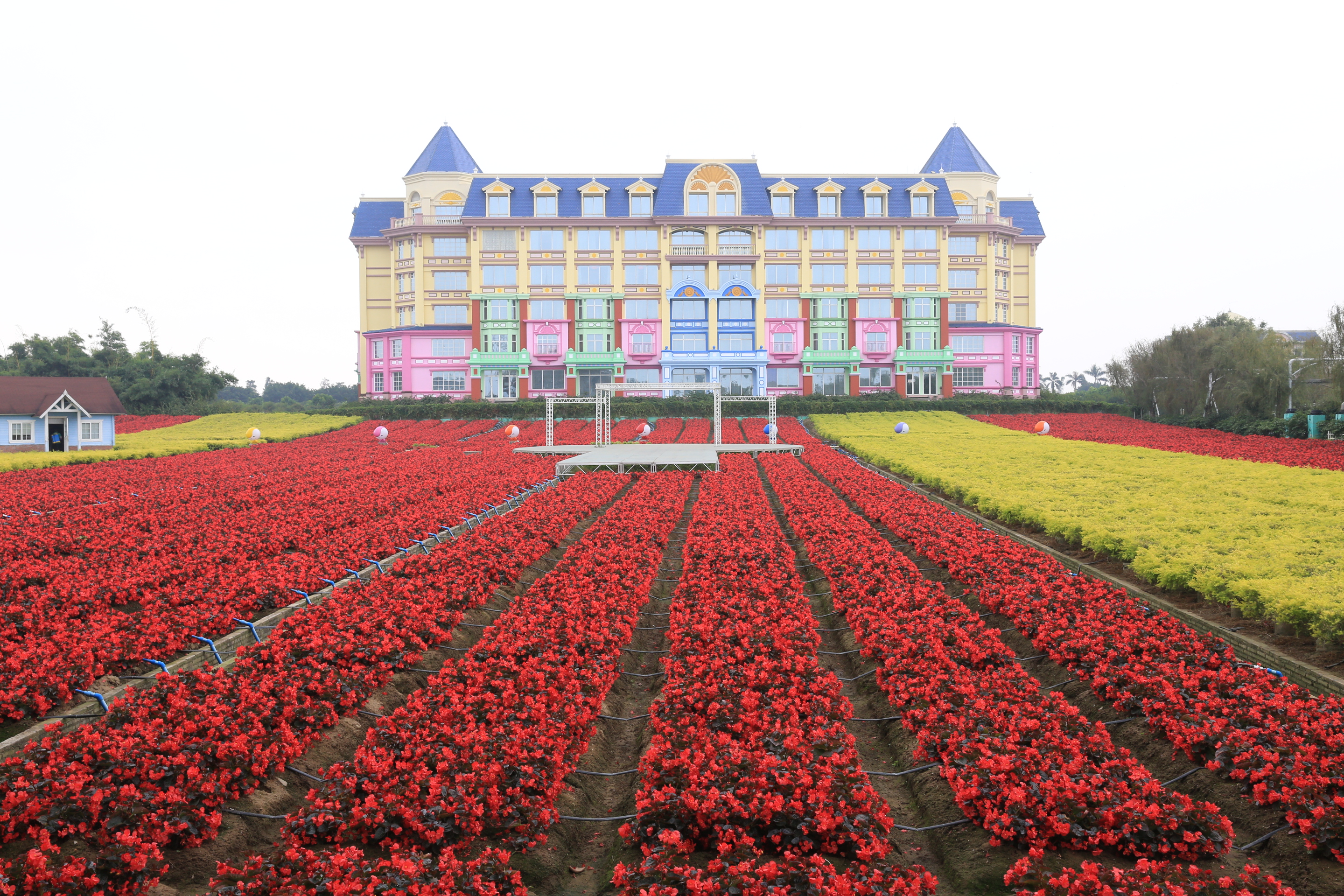 森林花海亲子游攻略,森林公园亲子游推荐