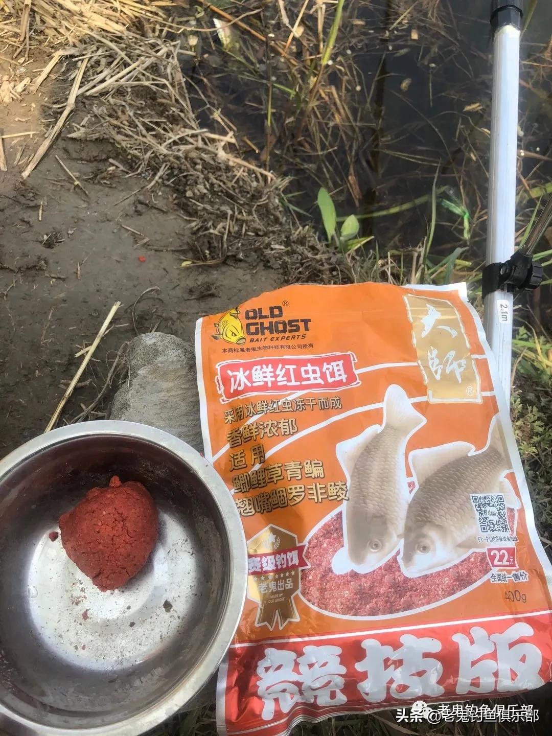 单开红虫,单开红虫拉饵