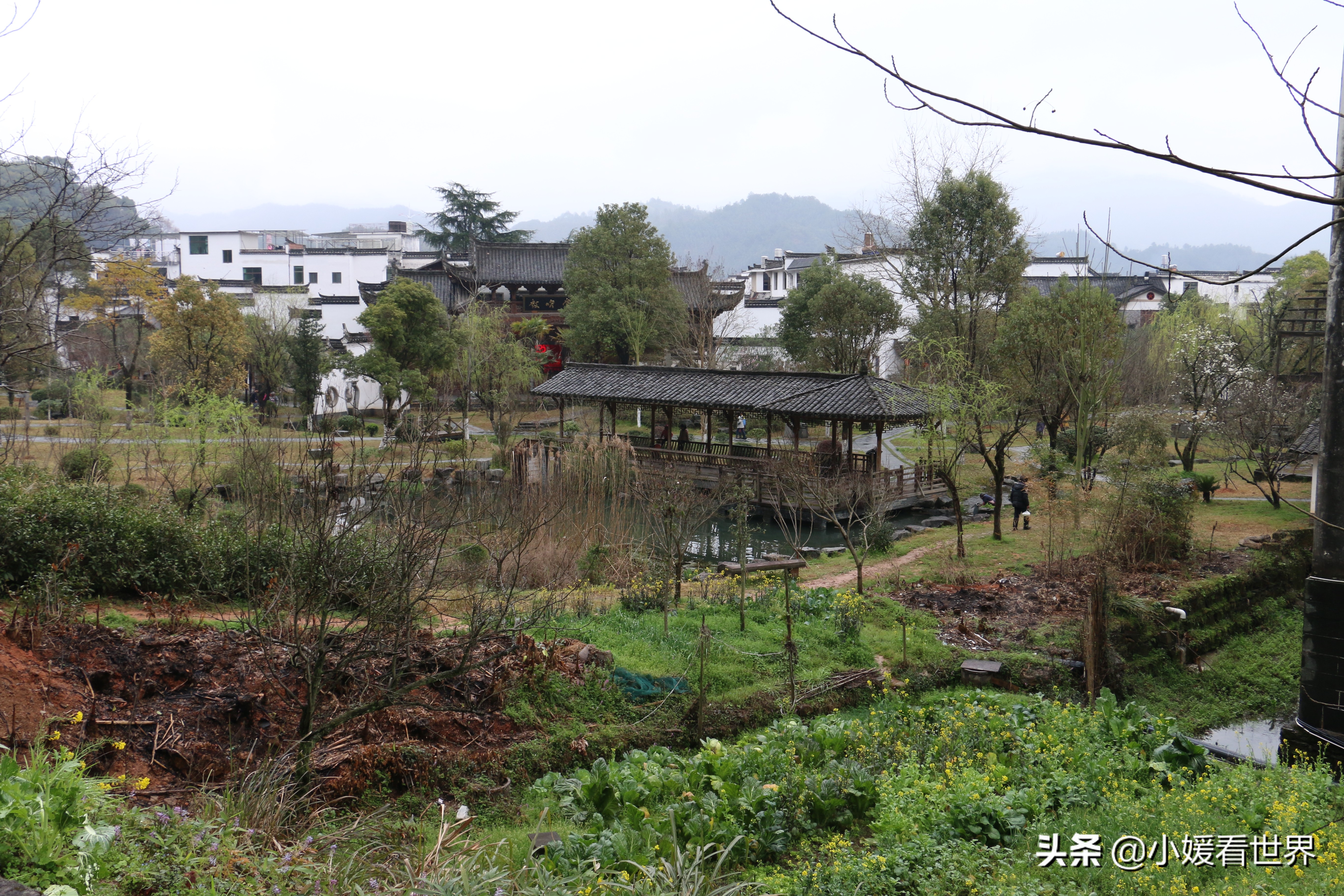 婺源江湾景区游玩攻略,婺源江湾景区观景台