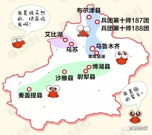 全疆25县特产,疆产特产