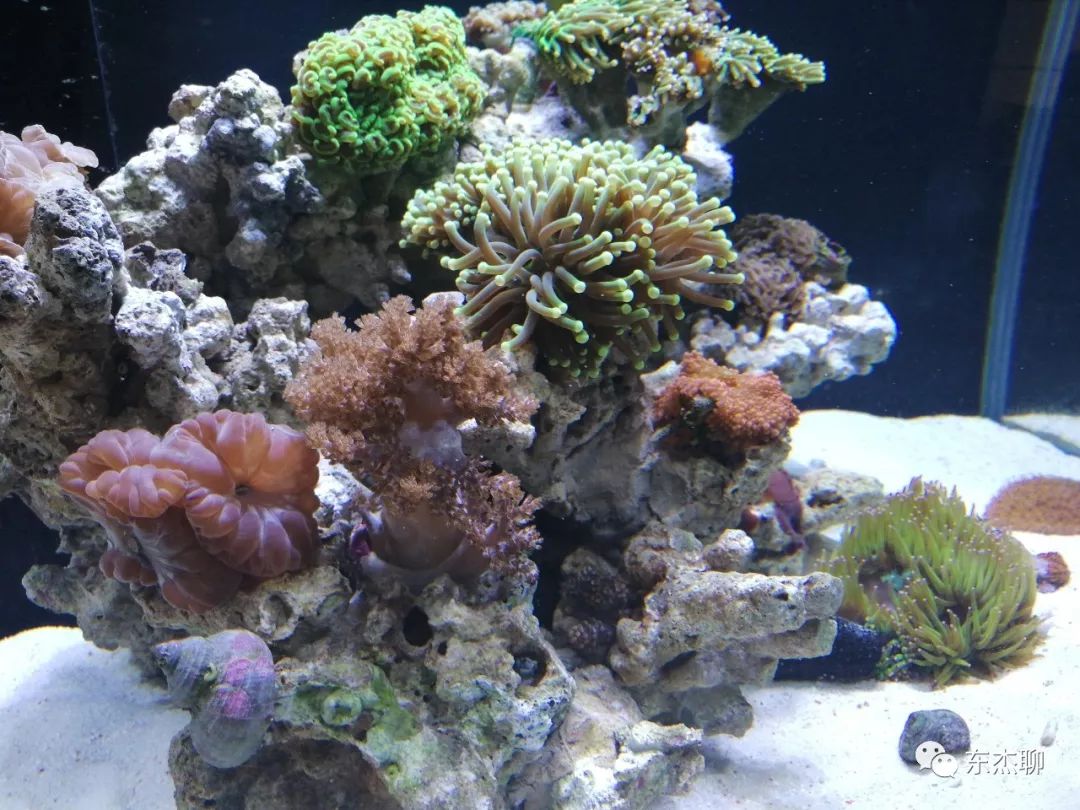 光说不练假把式图片,光说不练假把式怎么回复