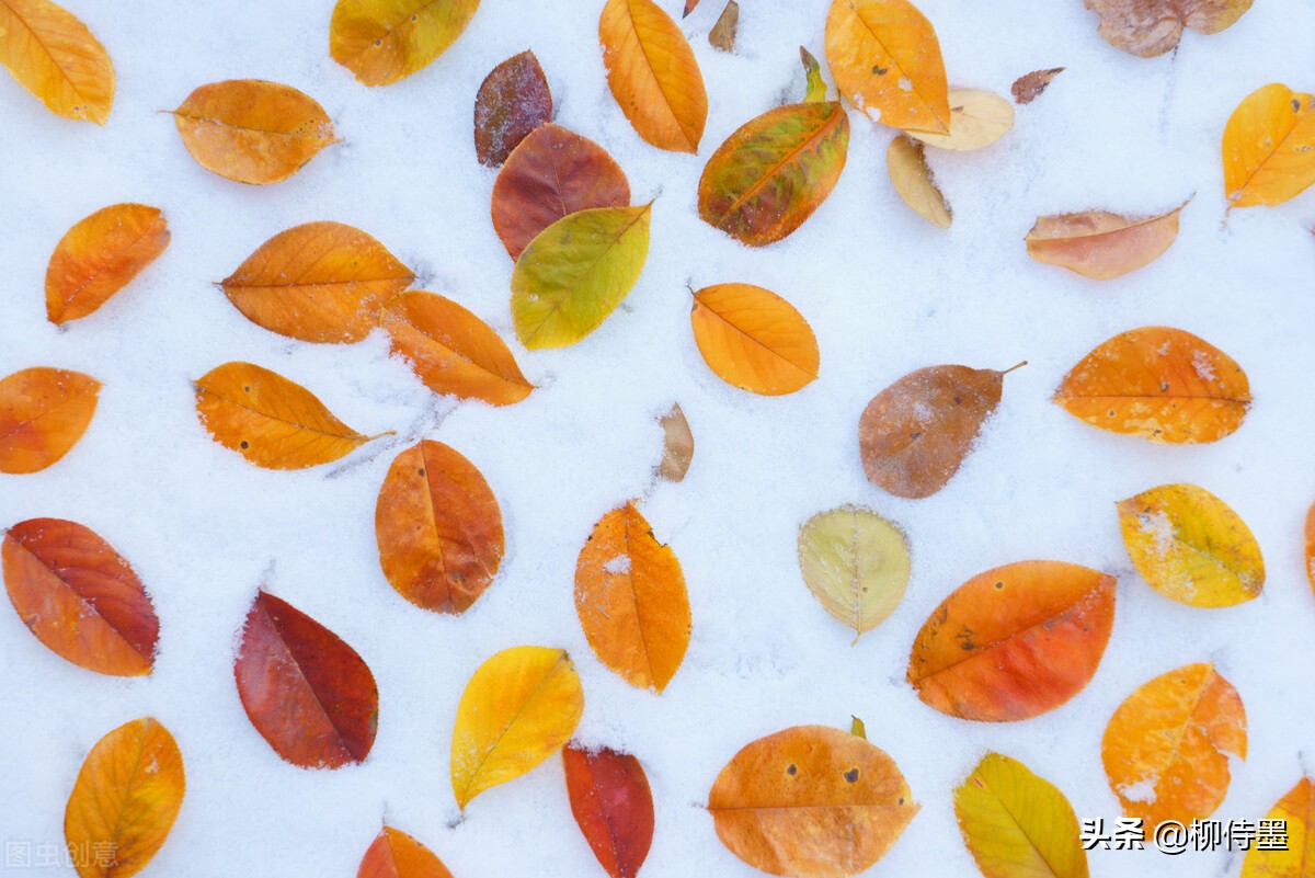 摄影新手如何拍摄照片教程,新手学习摄影入门第一步