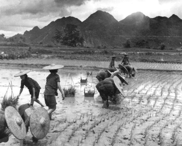 开国元帅当中,唯有他没有子女,初恋跳崖自尽,两场婚姻甚是坎坷