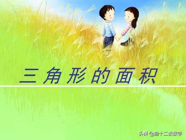 平面直角坐标系求三角形面积公式,已知三角形面积求点的坐标系的题