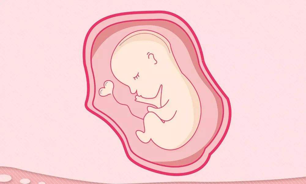 子宫内膜厚度太厚为什么影响怀孕,子宫内膜厚度0.56能不能怀孕