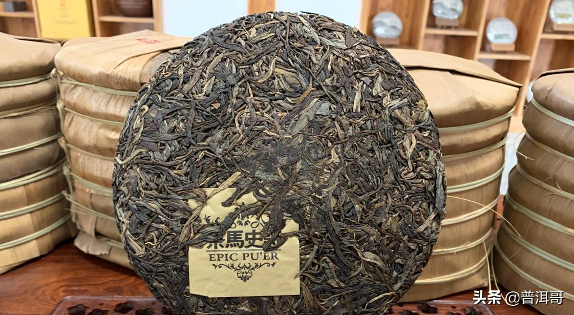 告诉你10点普洱茶的学费茶，你有没有交过学费？