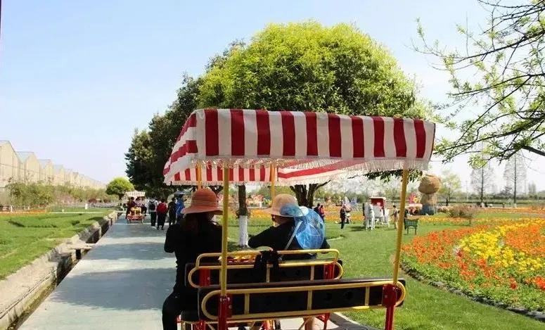 战旗村妈妈农庄,到战旗村妈妈农庄怎么走