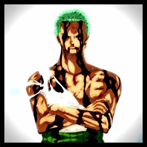 索隆最霸气的草帽,草帽海贼团索隆经历