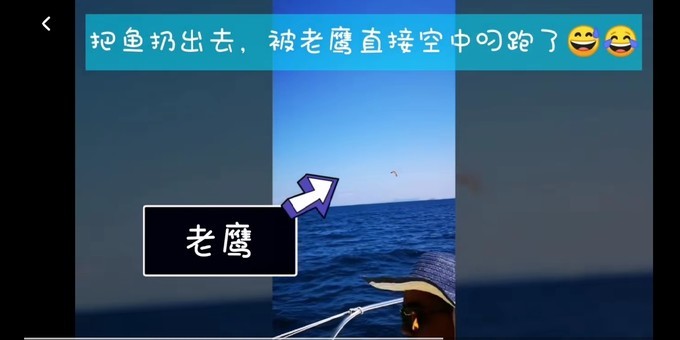 蛋岛蜜月岛,蜜月岛皮皮岛蛋岛一日游