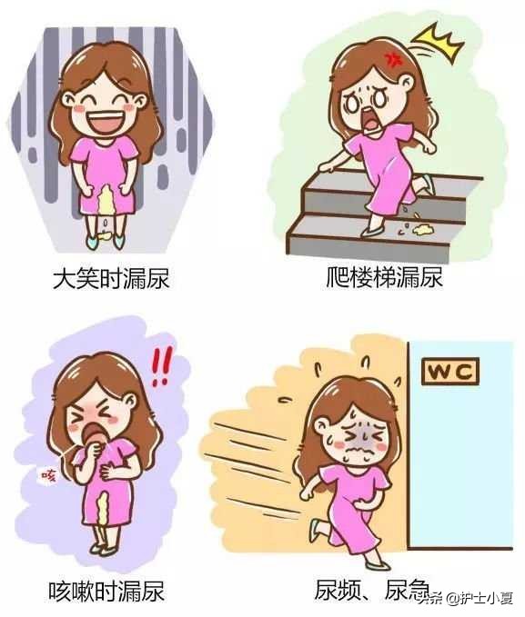 打喷嚏漏尿莫大意，盆底疾病缠住你，切勿病急乱投医，一文解难题