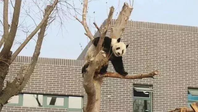 活动锦集|你在点金的每一个点滴,都值得被记住