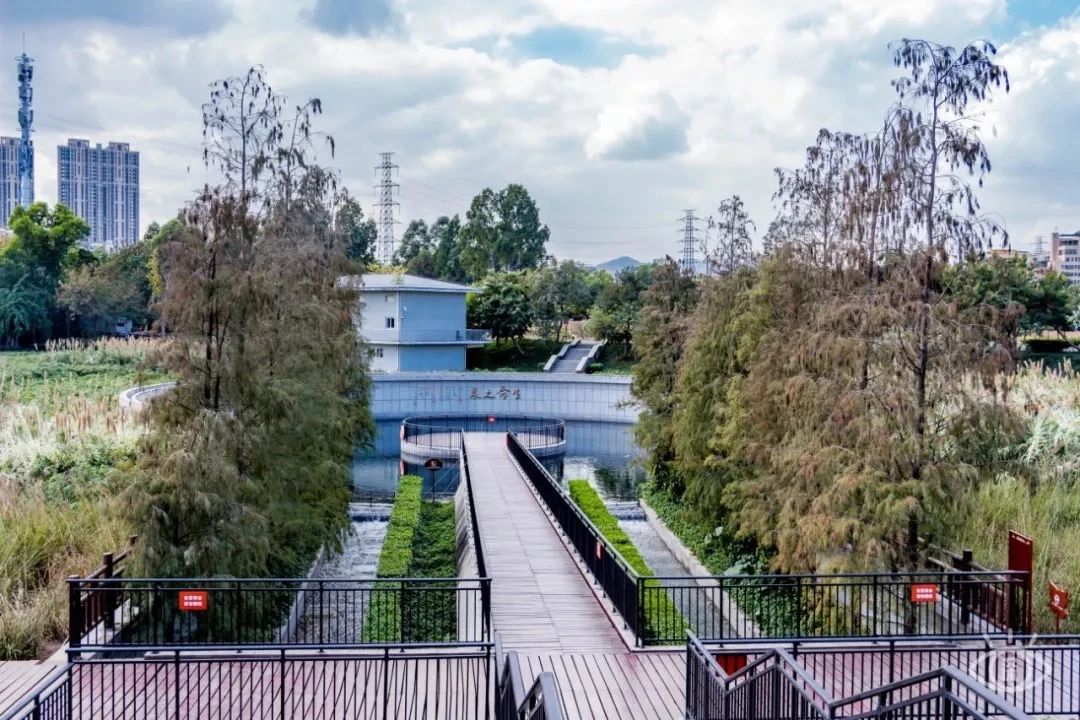 最美湖泊小众风景,最美湖泊西湖