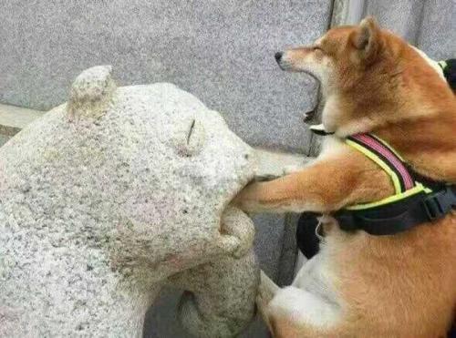 看我飞车特技,哦噢.......搞笑动图集合