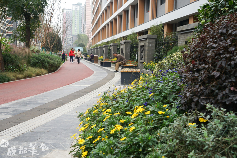 被学生吐槽最多的中医大老校区,没想到还是个“宝藏地”